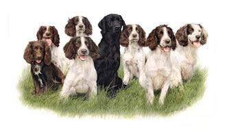 J & R's Dogs Thumbnail Image